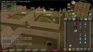 OSRS Barbarian Assault World Record [10:48] (Solo Healer)