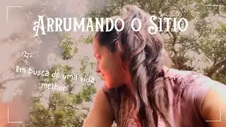 Organizando o Caos: Fogueira, Ganso e a Transformação do Meu Quintal! | Rotina no Sítio