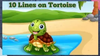 10 Lines on Tortoise in English/10 Lines on Turtle in English/10 Lines on Tortoise/Essay on Tortoise
