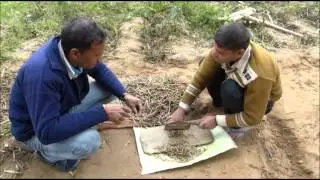 PANI  BREL JJS Mentha Bed Preparation Raebareli