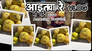 Khane ho?😋vogate 🍊🍊!!