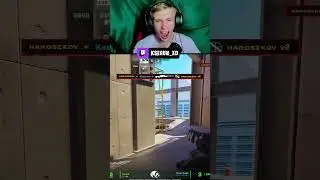 Чел на реакции  #twitch #kserum #стрим #cs2 #юмор