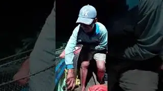 TH&Uacute; VỊ CẢNH SOI Đ&Egrave;N VỚT MỰC CỦA NGƯ D&Acirc;N TẠI BIỂN KI&Ecirc;N LƯƠNG | CSTV #short $shotts