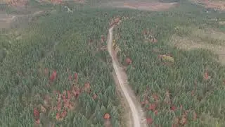 Expedition North Woods 2025