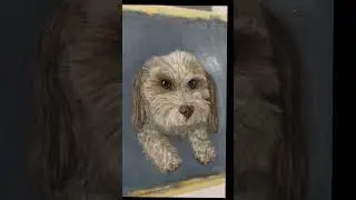 More like 30 hours 😂 This was my first ever pet portrait using oils.👩🏻&zwj;🎨 #art #dogs #puppy #protrait