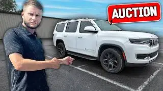 The TRUTH about buying at Manheim Auto Auction