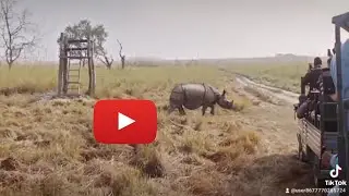 Sauraha Hotel Package with Jeep or Elephant Riding
