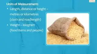 Simple Measurements | Science and Technology | Now You Know Book 3 | Periwinkle