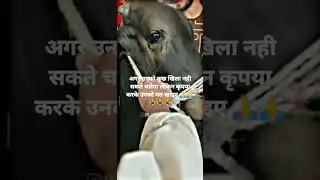 Please try to understand they also have fellings 😭😭 #animals #emotional #trending #viral