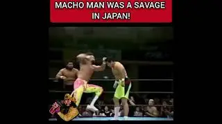 Macho Man Randy Savage Was a PROBLEM in Japan! 👀