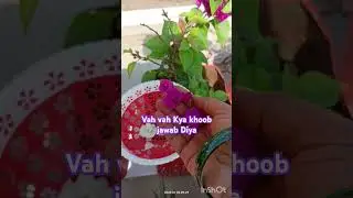 #viral YouTube short #gardening tips 🌱# motivation