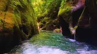 Peaceful Sunrise River Flow with Birdsong, Soft Morning Relaxation