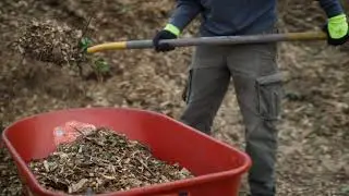 How to Install Arborist Wood Chips