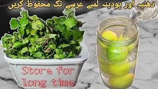 How to Store Mint , Coriander Leaves & Lemon For Long Time in Fridge! 