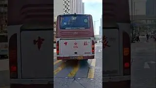 [個顏色好格格不入🤨🤨]中旅KINGLONG XMQ6118AYW 716 TV8588 駛經亞皆老街#coach#中旅巴士#716#KINGLONG#XMQ6118AYW#巴士#TV8588