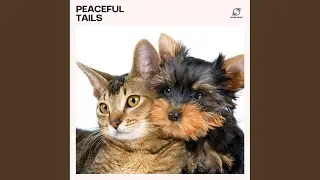 Music for Senior Pets