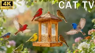 Cat TV for Cats : Birds in the Garden | Soothing Nature Sounds & Relaxing Video for Indoor Cats