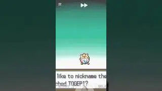 I Hatched The Egg From Professor Elm || #pokemon #pokemonchallenges #pokemonsoulsilver