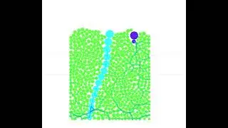 Micro-Bio-Mechanical Modelling of root growth in granular soils