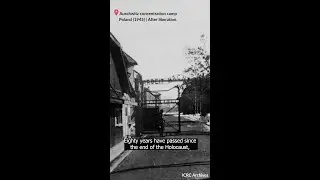 Vertical Holocaust EN.mp4