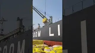 Kakinada port❤️#viralvideo#youtubeshorts#kakinadaport 👌🏼
