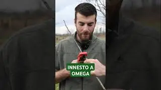 INNESTO A OMEGA: come e quando innestare con questa tecnica