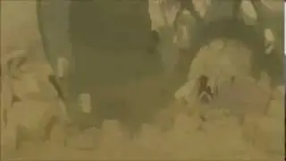 Madara Jutsu Style Wood | Mokuton Hijutsu: Jukai Kōtan HD