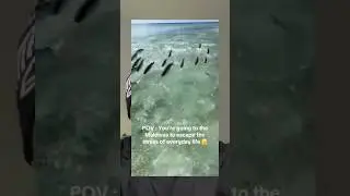 Тренировочный лагерь Lady Interups Fish Boot Camp