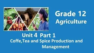 Grade 12 Agriculture Unit 4 Coffee,Tea and Spices Production and  Management Part 1 | New curriculum