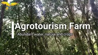 Agrotourism Farm