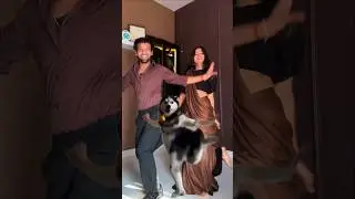 We are dancing with Husky 🐩🫣 #reels #dance #ytshorts #shorts #youtube #shortsfeed #trending