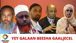 GAALJECEL MA HAWIYAA MISE DAAROOD