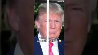 Air clown filter