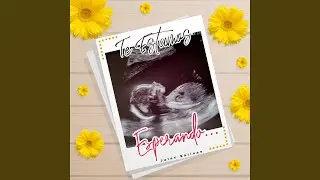 Te Estamos Esperando (TikTok Version)