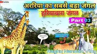 अररिया का सबसे बड़ा जंगल | हरियाबारा जंगल Part-3| Araria Biggest Forest | Raghu Nandan Vlogs