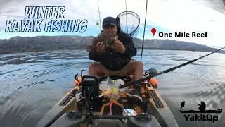 Santa Barbara Winter Kayak Fishing | One Mile Reef | Rockfish | Calico Bass | Sand Bass