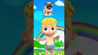 Изучаем животных 🐶🦁 | Короткометражное обучающее видео для детей