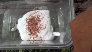 How to make jiggly slime!