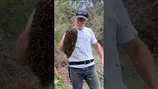 Would you try this at home?