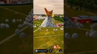 Giant Chicken 🐔 on google maps and google earth 🌍 #shorts #finduniqueearth