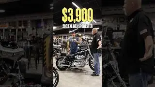 The Perfect Budget Bike | 2003 XL883 Sportster