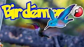 hummingbird sanctuary Idaho