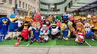 Every Premier League clubs mascot