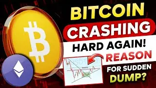 🛑 Bitcoin & Altcoins Sudden Fall - Reason? | More Pain Incoming? | Bitcoin News Today 