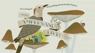 Ampersand LIVE 2017