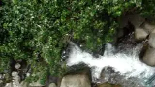 MOV02260