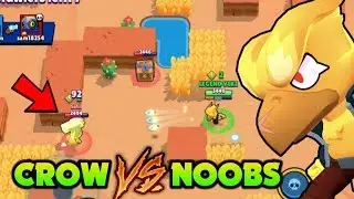 Crow vs Noob ! Troll Gameplay 😂 Brawlstars (hindi)