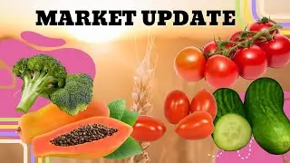 Moussa Market Update 3rd October