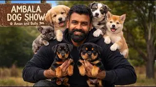 Bully ko thand mei Dikha Razaai jaisa Dog 🤣 | Ambala Dog show