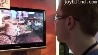 Fable 3: Демонстрация для разработчиков